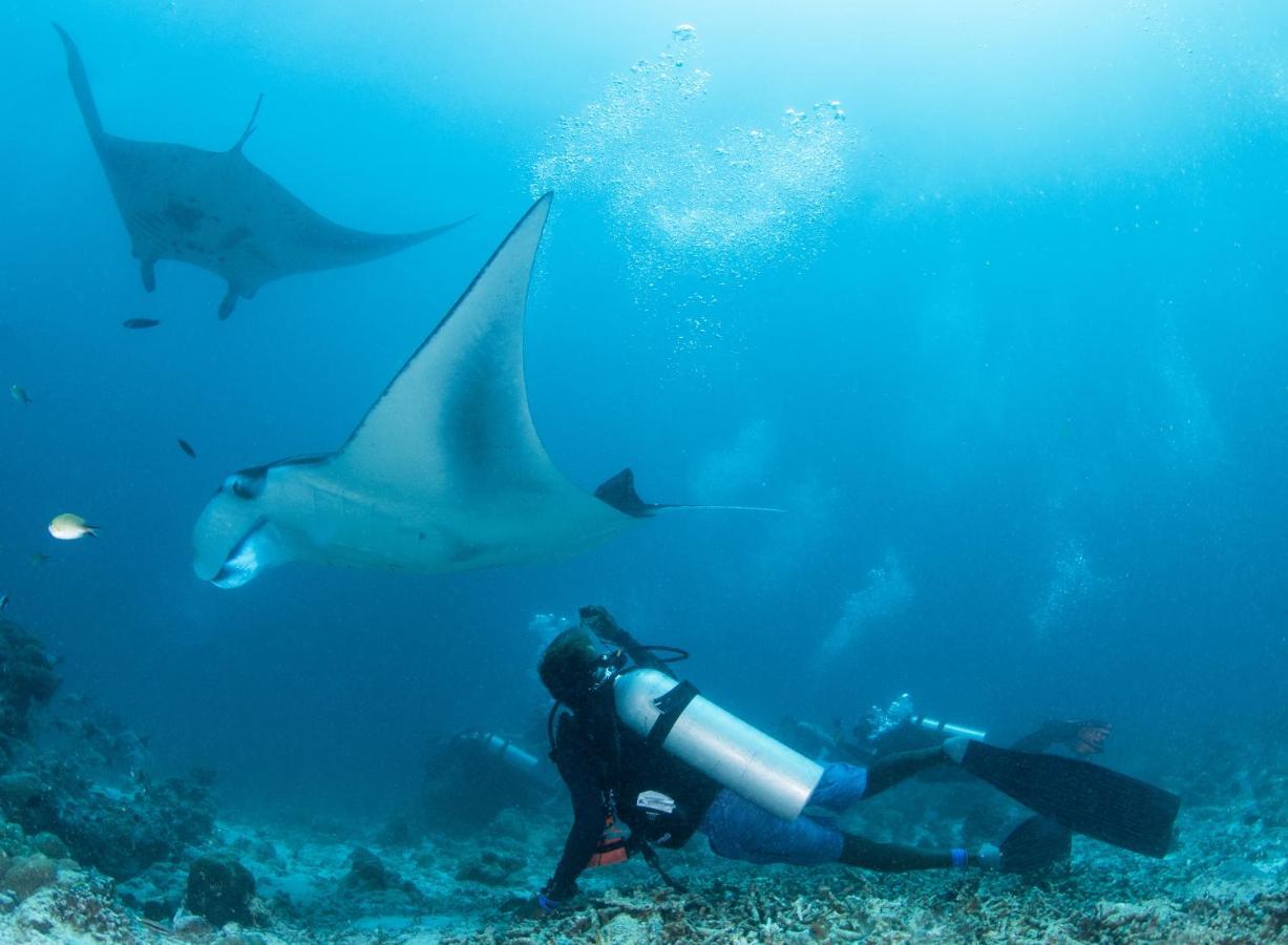 丹格迪 South Ari Dive Center酒店 外观 照片