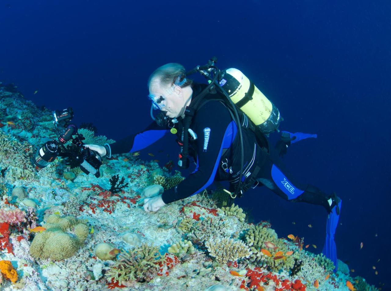 丹格迪 South Ari Dive Center酒店 外观 照片