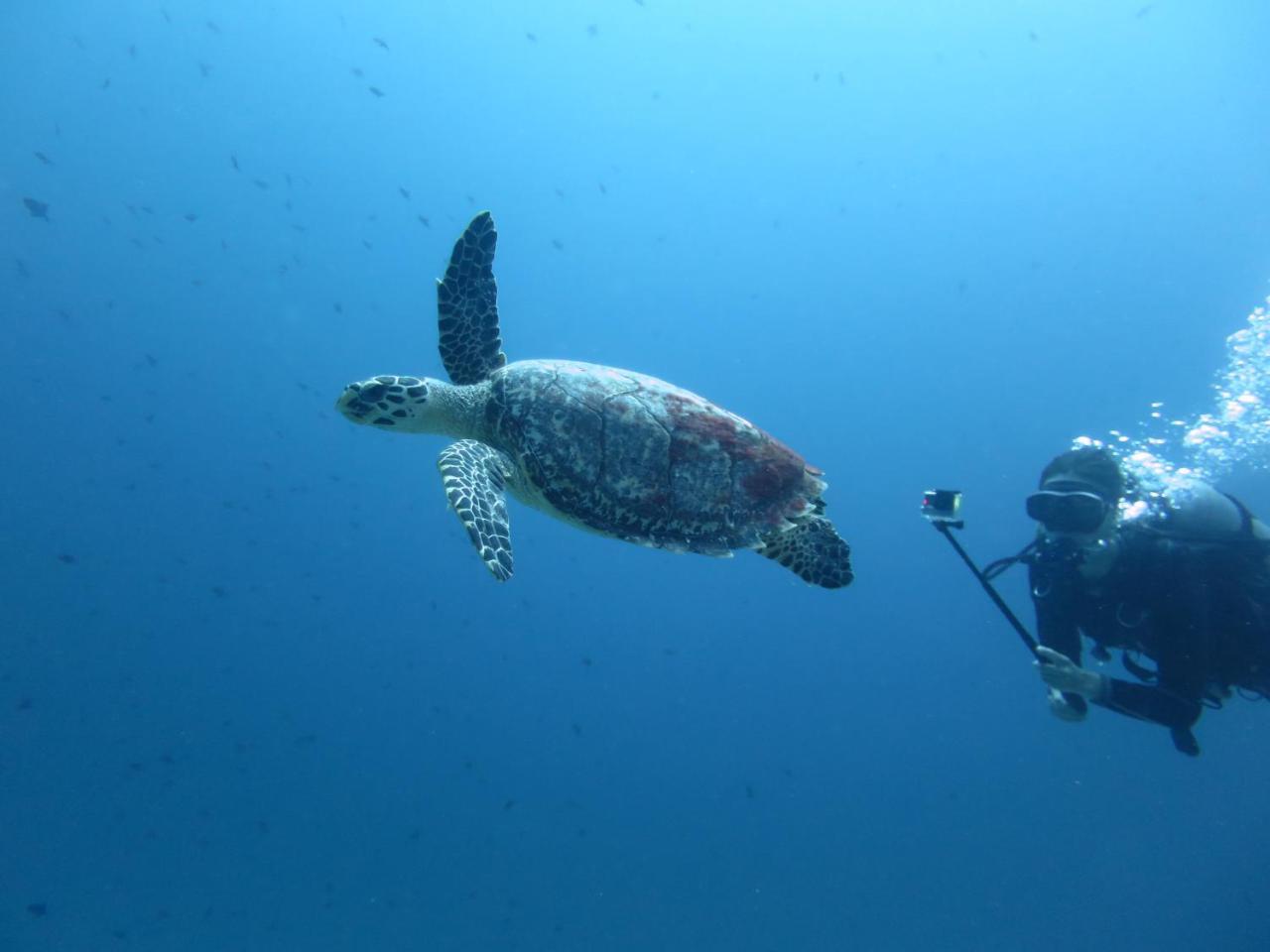 丹格迪 South Ari Dive Center酒店 外观 照片